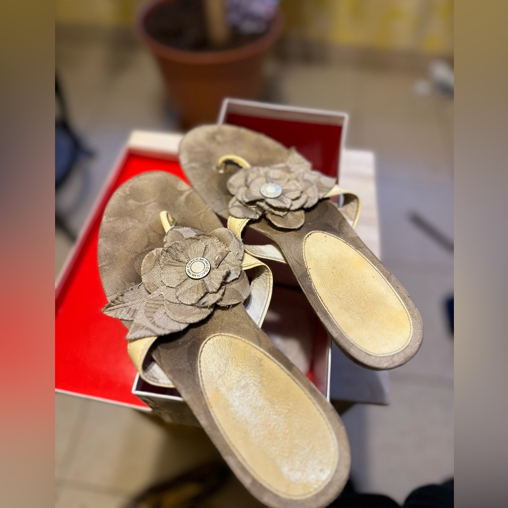 Coach sandals